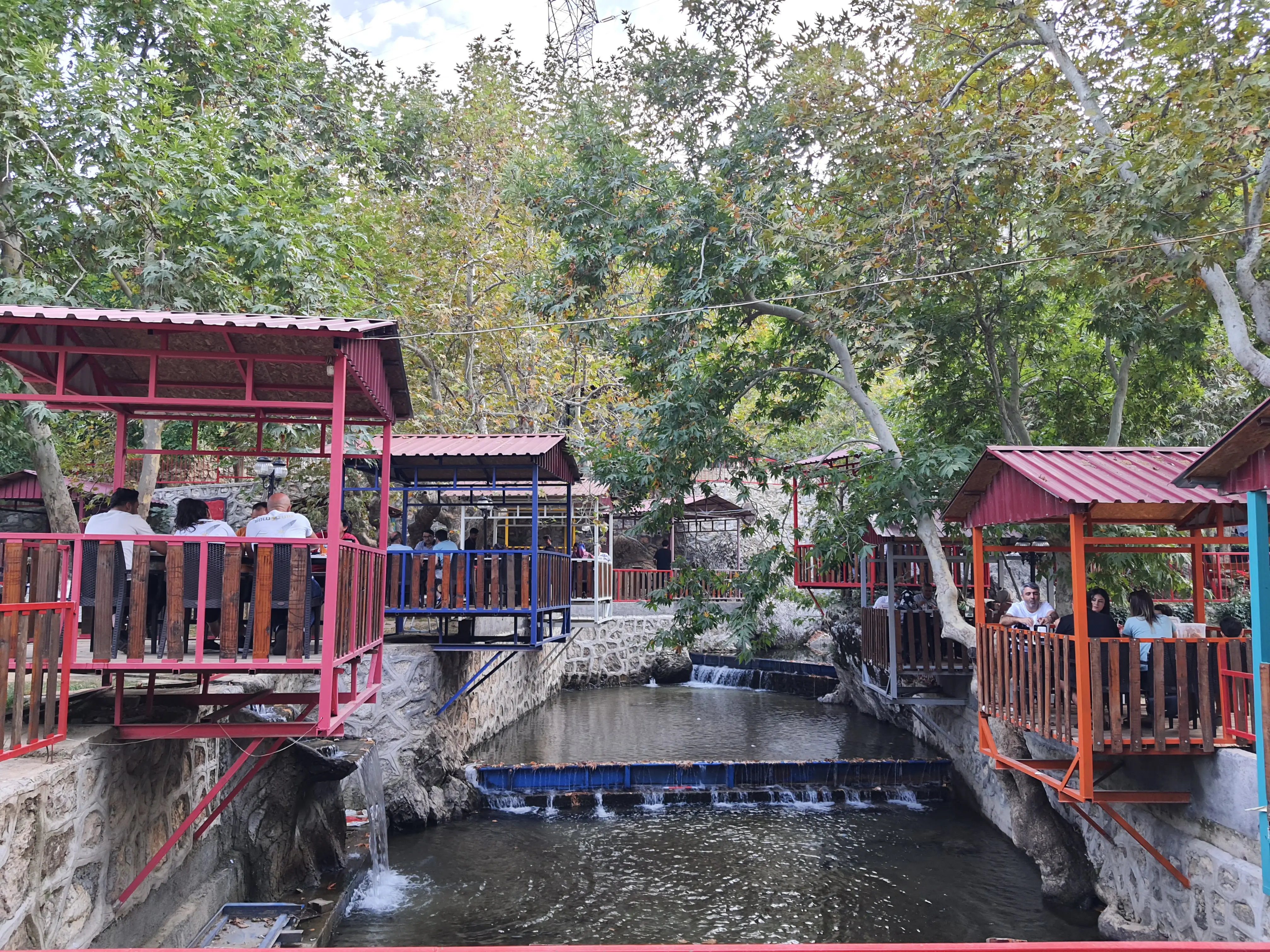 Tekir Alabalık